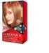 Revlon Colorsilk Dark Blonde Hair Color 61