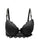 Belleza Padded Bra With Wire CD014